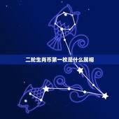 二轮生肖币第一枚是什么属相，十二生肖纪念币发行量 各发行多少枚？