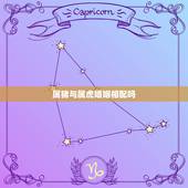 属猪与属虎婚姻相配吗，男属猪女属虎相配吗？