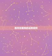 四月份属狗的运势如何，属狗2021年运势及运程每月运程