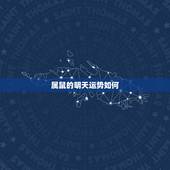属鼠的明天运势如何，1996年属鼠人明天运势如何面对