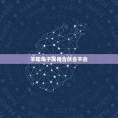 羊和兔子属相合伙合不合，属羊的和哪些属相在一起合作招财