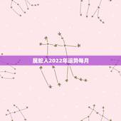 属蛇人2022年运势每月，属虎2022年运势及运程每月运程