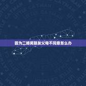 因为二婚男朋友父母不同意怎么办，父母不同意我找二婚男，怎么办