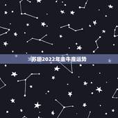 苏珊2022年金牛座运势，苏珊米勒2015年金牛座运势