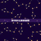 属牛和什么属相忌婚配，属牛和什么属相最配