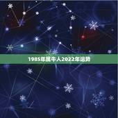 1985年属牛人2022年运势，2022属牛的运势和财运1985年