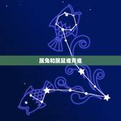 属兔和属鼠谁克谁，属鼠与属兔婚配好不好