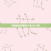 牛宝宝男孩取名大全2021款，2021年属牛的宝宝取名