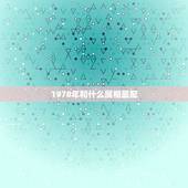 1978年和什么属相最配，1978年属马的人的性格和什么属相合得来