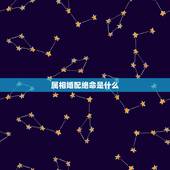 属相婚配绝命是什么，属相婚配。