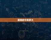 属狗的今年多大，1994属狗的一生婚姻