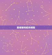 属相猪和蛇的婚配，属猪的和属蛇的能结婚吗？