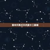 畜中只有三只爪猜十二属相，畜中只有三只爪，猜一生肖？