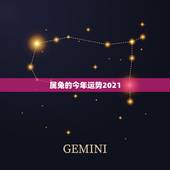 属兔的今年运势2021，今年属兔的财运和运气如何2021