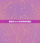 属鼠的2022年运势如何男鼠，1984年属鼠男2022年运势