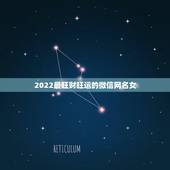 2022最旺财旺运的微信网名女，2021旺财旺运微信名字