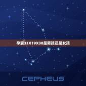 孕囊33X19X38是男孩还是女孩，我怀孕9周孕囊33✖️13✖️36