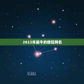 2022年最牛的微信网名，2021年最火微信网名