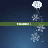 整体运势指什么，2008十二星座的整体运势