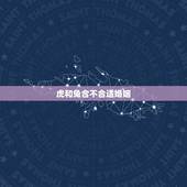 虎和兔合不合适婚姻，属虎的和属兔合不合