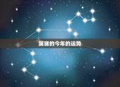 属猪的今年的运势，属猪人2021年运势运程每月运程