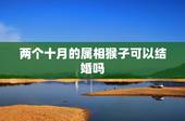 两个十月的属相猴子可以结婚吗，属猴的和属猪的不能结婚吗？