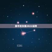 属牛处女座2022运势，2022年处女座星座运势完整版