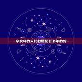 辛亥年的人比较婚配什么年的好，1995年属猪和什么属相最好