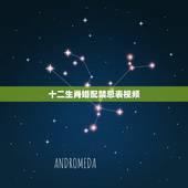 十二生肖婚配禁忌表视频，十二生肖婚配:属相合婚配对表