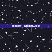 貔貅适合什么属相的人佩戴，什么属相可以带貔貅
