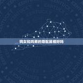 狗女和鸡男的婚配属相好吗，93年属鸡男与94年属狗女婚配吗