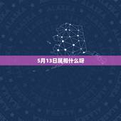 5月13日属相什么呀，2021年生肖龙的全年运势