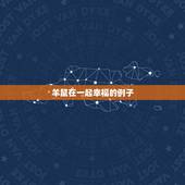 羊鼠在一起幸福的例子，有关幸福的素材