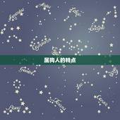 属狗人永远最旺的颜色(介绍究竟是哪种颜色)