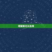 老鼠配什么生肖，蛇老鼠生肖最配
