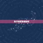 兔子和蛇属相配吗，兔子和蛇属相合不合