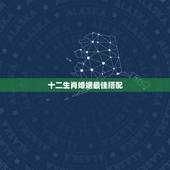 十二生肖婚姻最佳搭配，十二生肖姻缘配对-12生肖最佳配对-十二生肖属相