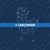 十二生肖三月份运势，十二生肖2018年运势