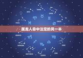 属龙人命中注定的另一半，命中注定之人丸纯子