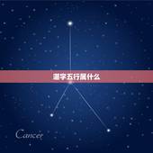 湛字五行属什么，中国著名历史人物
