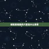 婚配属相里的六害是什么意思，生肖配对相害什么意思