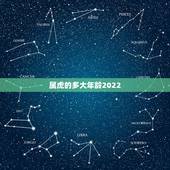 属虎的多大年龄2022，98年女虎2023年运势怎样