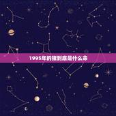1995年的猪到底是什么命，1995年猪什么命