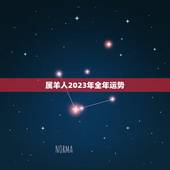 属羊人2023年全年运势，2022年属羊人的全年运势