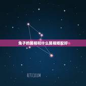 兔子的属相和什么属相婚配好，属兔子和什么相配好？