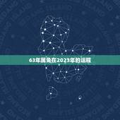 63年属兔在2023年的运程，63年属兔是什么命