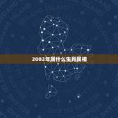 2002年属什么生肖属相，2002年出生属相