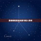 属相婚配属龙和属马情人咋样，属龙和属马做情人合适吗？