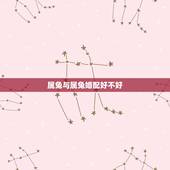 属兔与属兔婚配好不好，属兔和什么属相比较相配