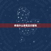 桦是什么意思五行属性，俊桦属什么意思，五行属